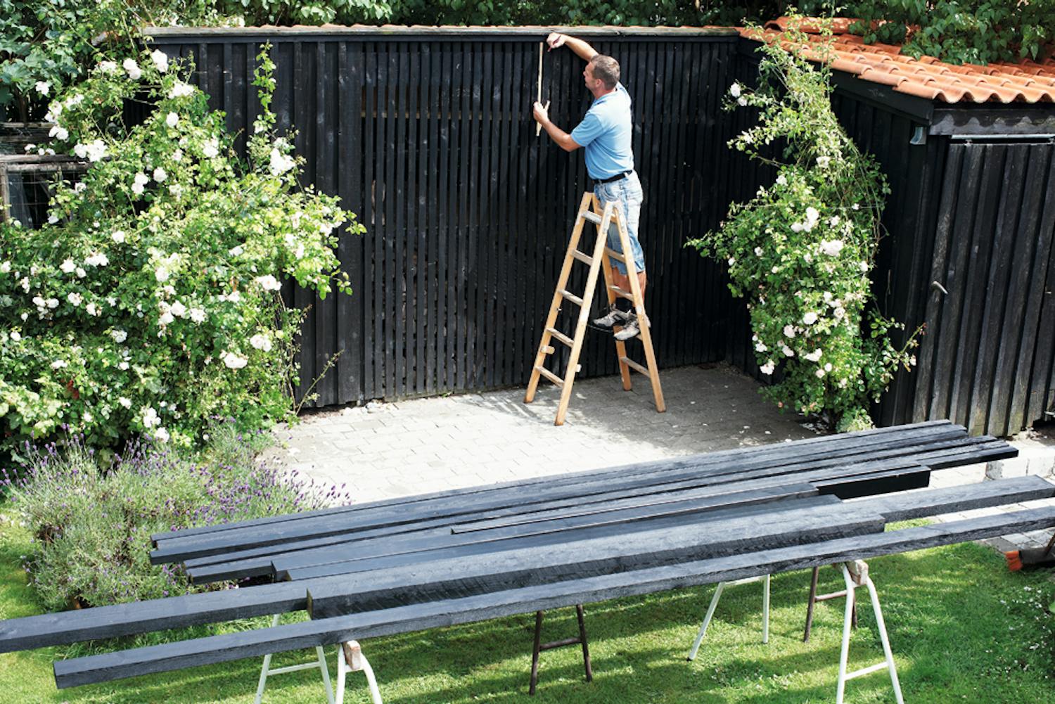 Det här ska du veta innan du bygger pergola